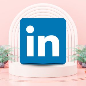 Buy Linkedin accounts with connections