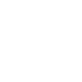 logo of bulkpvaprovider white