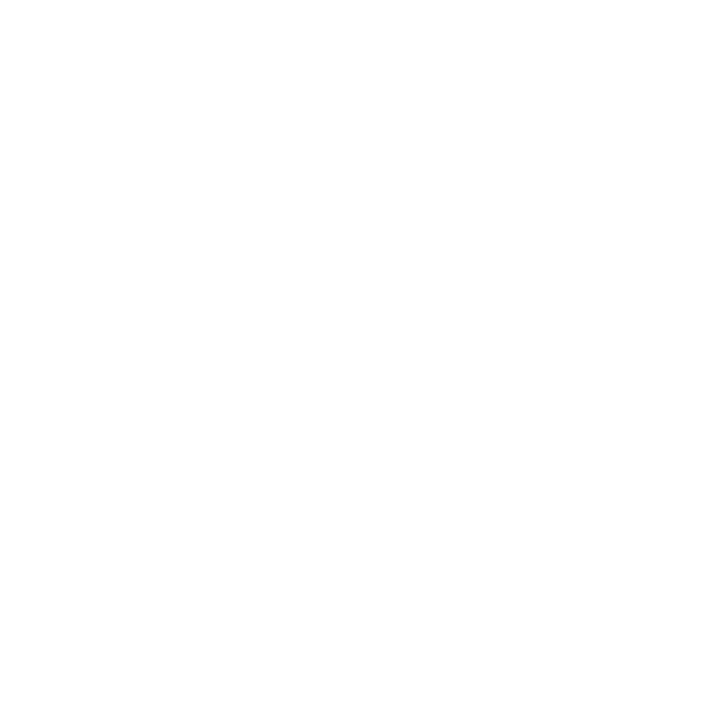 logo of bulkpvaprovider white